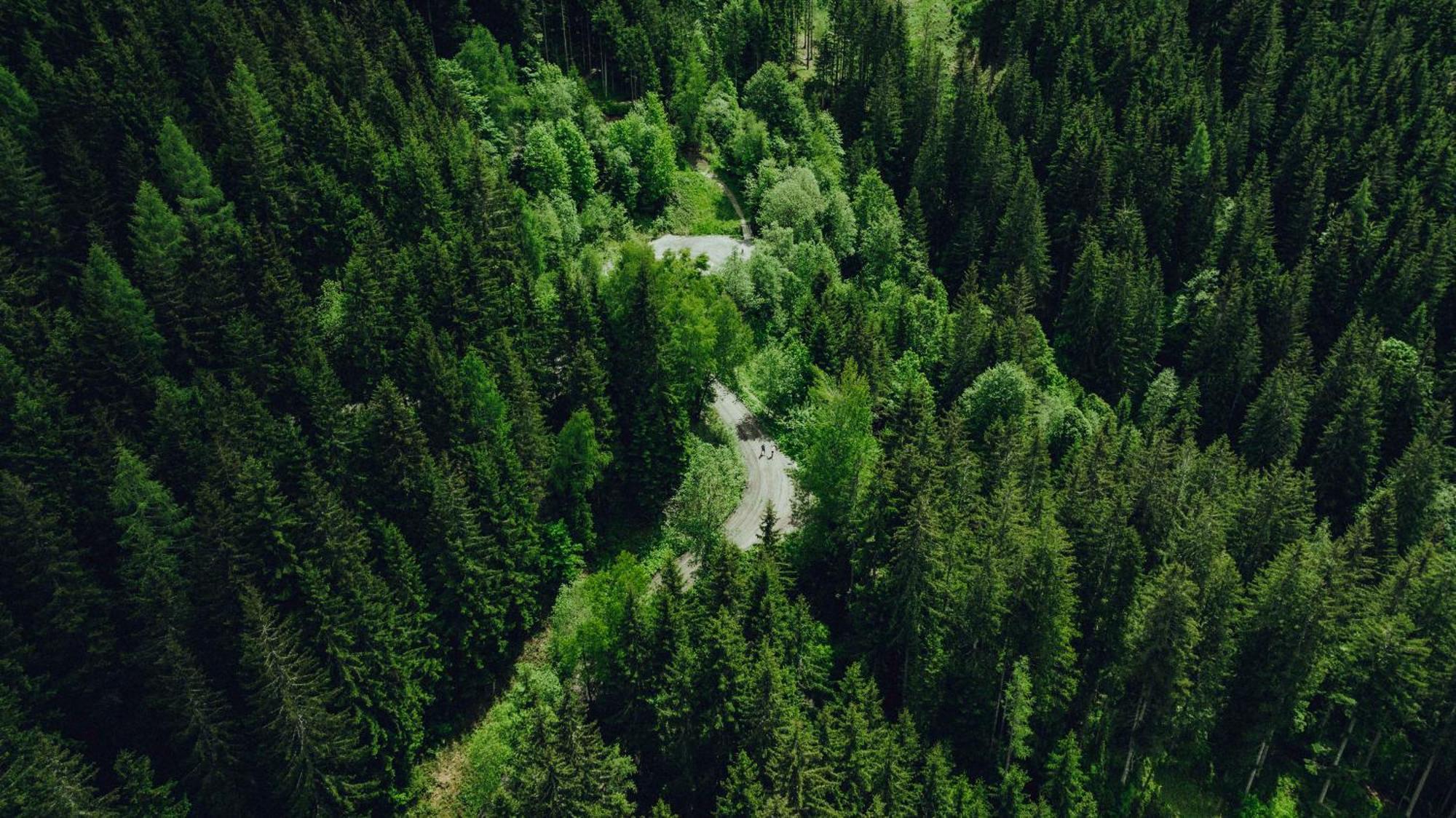 Holzhotel Forsthofalm Леоганг Екстер'єр фото